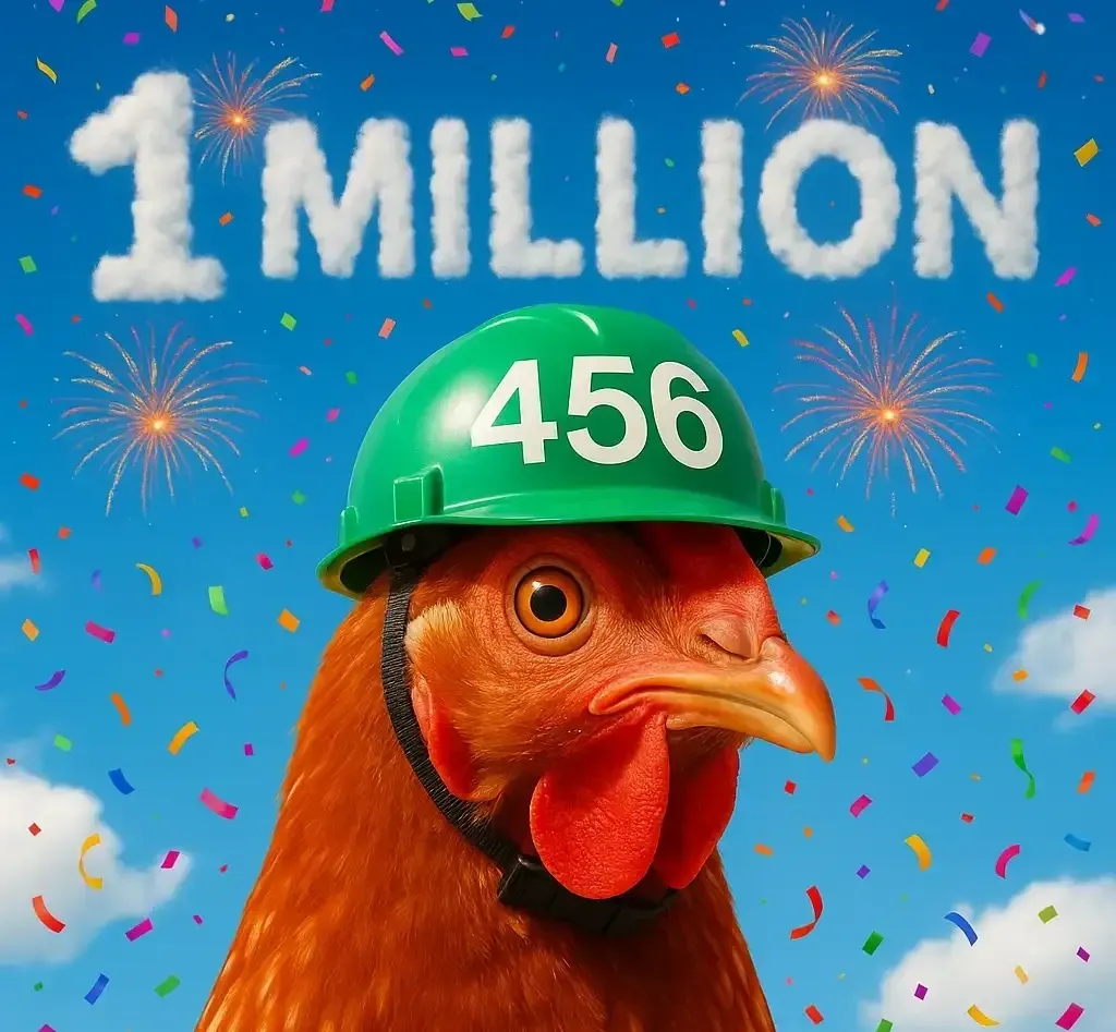 Video Editing & Production